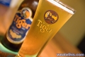 Tiger Beer Bottle and Glass Shot