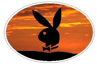 Oval Playboy Decal