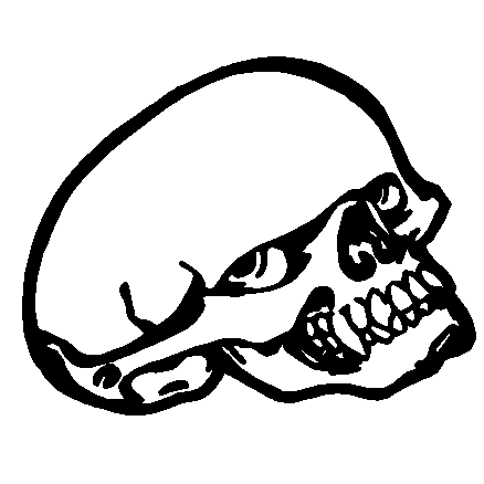 Skull Car Sticker