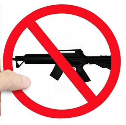 Ban Assault Rifles Not Books Sticker