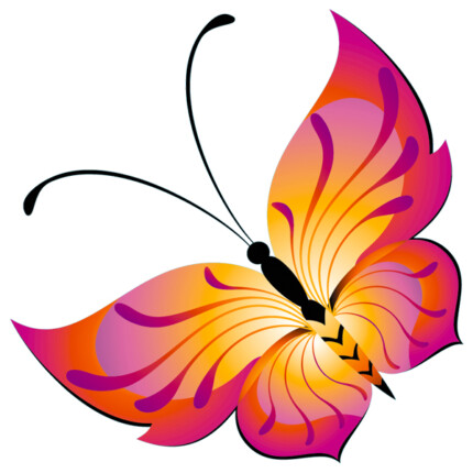 Butterfly Color Window or Wall Sticker 1